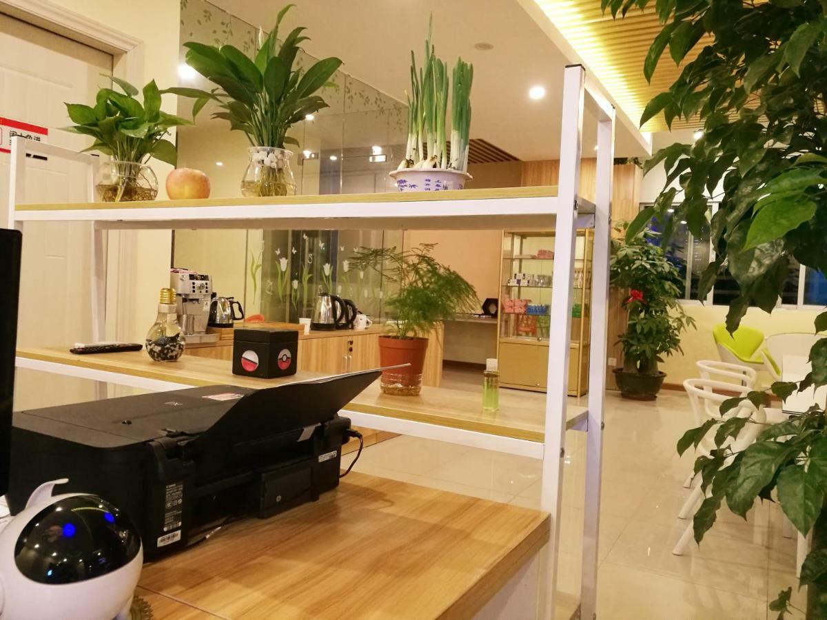 The Olive Tree Capsule Hostel Shenzhen Exterior foto